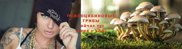 меф VHQ Дмитриев