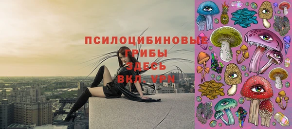 меф VHQ Дмитриев