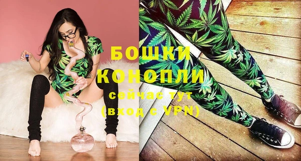 мдпв Елизово