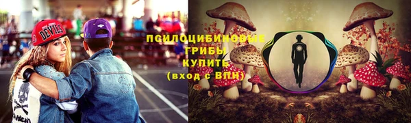 первитин Дмитровск