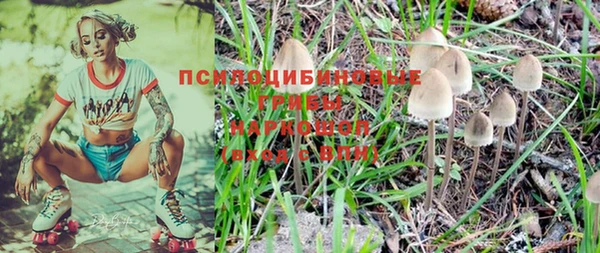 не бодяженный Дмитров