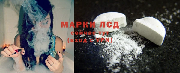 apvp Ельня